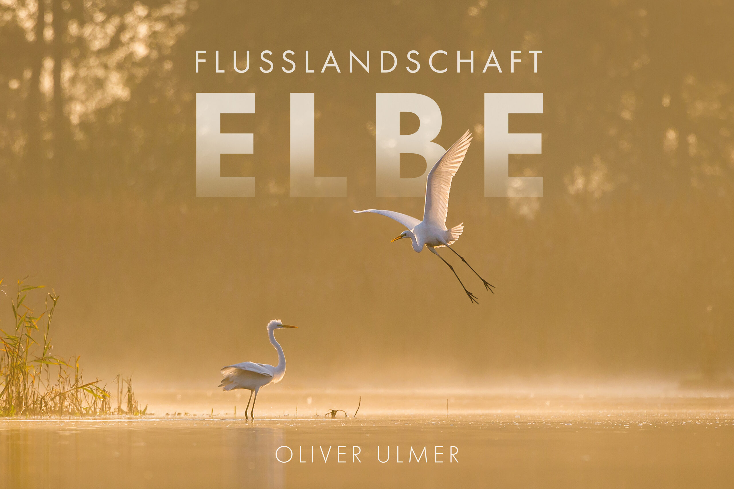 Multivision Flusslandschaft Elbe am 22.03.24 um 19:00 Uhr